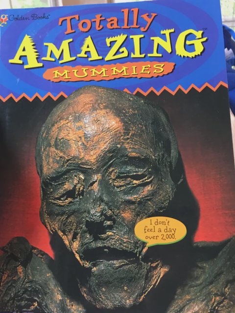 Totally Amazing Mummies