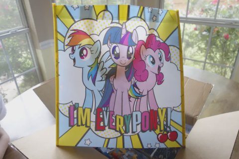 My Little Pony Bag