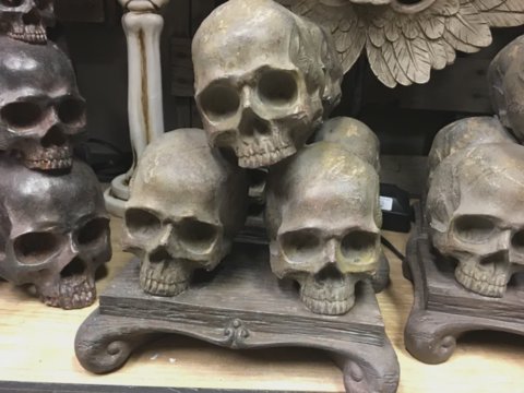 Skulls