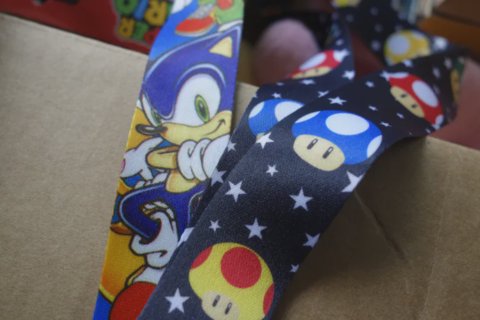 Sonic Lanyard