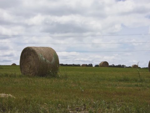 A Bale of Hay